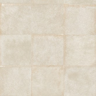 Mémoires VP 656/01 (Loup)