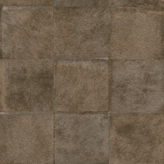 Mémoires VP 656/03 (Loup)