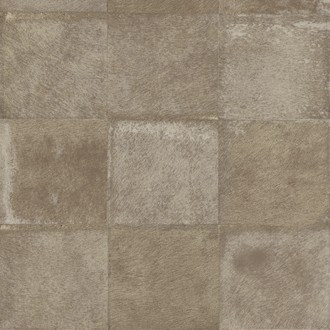 Mémoires VP 656/07 (Loup)