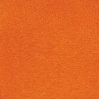 Natives VP/625/21 (MOVIDA)