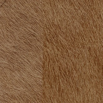 Natives VP/625/10 (MOVIDA)