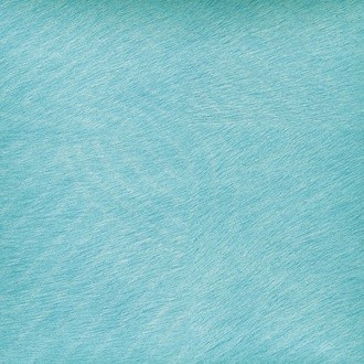 Natives VP/627/03 (Maori)