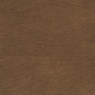 Natives VP/625/26 (Maori)