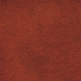 Natives VP/625/14 (MOVIDA)