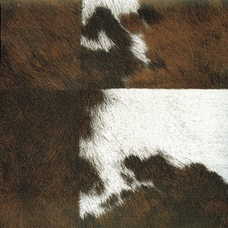 Natives VP/629/01 (Veracruz)