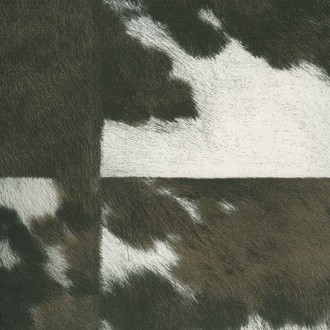 Natives VP/629/02 (Veracruz)