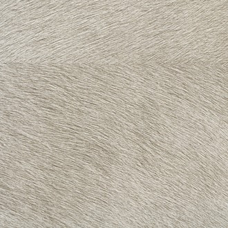 Natives VP/625/04 (MOVIDA)