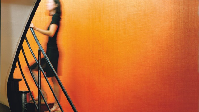 Textures Végétales