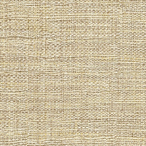 Textures Végétales VP 731/16 (Magadascar)