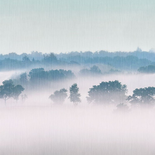 Plains&Murals (mural) PM6401