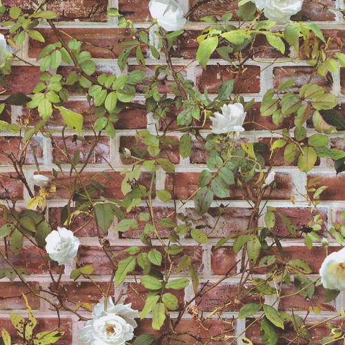 Reality III 51182110