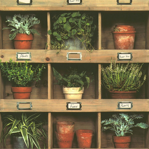 Reality III 51181807