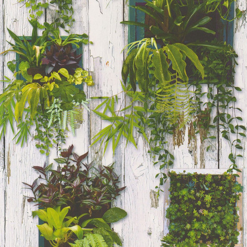 Reality III 51157104