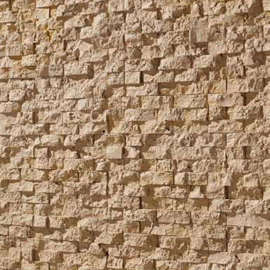 Concept 450 <br>(Ochre)